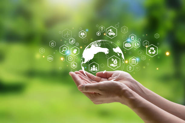Why Reconnecting with Nature Matters More Than Ever in a Digital World